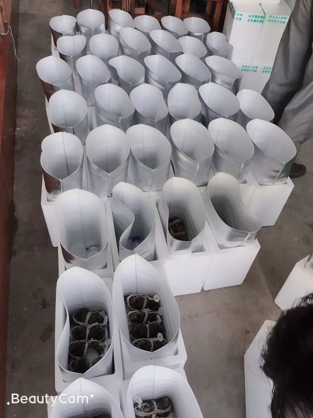 阳澄湖地区大闸蟹，分销员招募