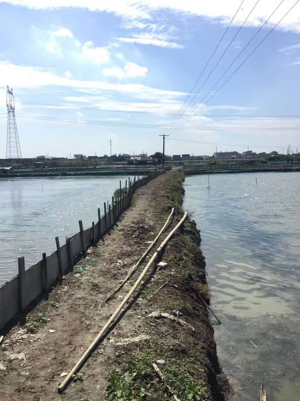 阳澄湖地区大闸蟹，分销员招募