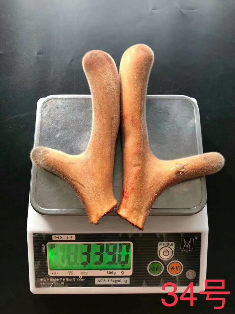 鹿茸项目，现招代理