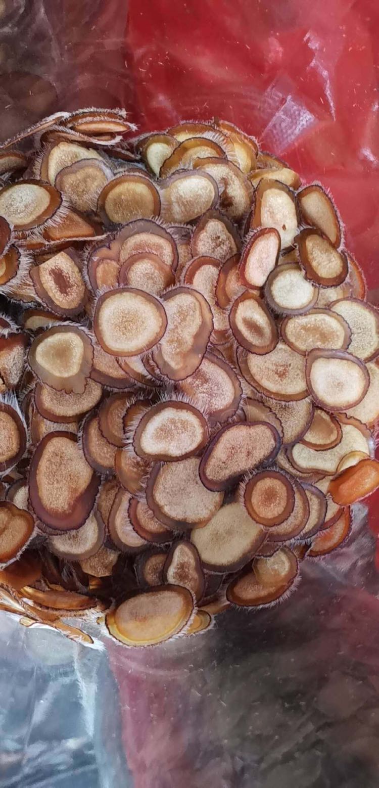 鹿茸项目，现招代理