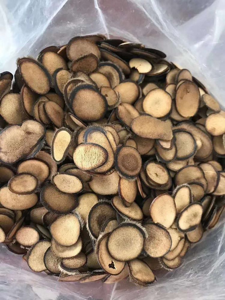 鹿茸项目，现招代理