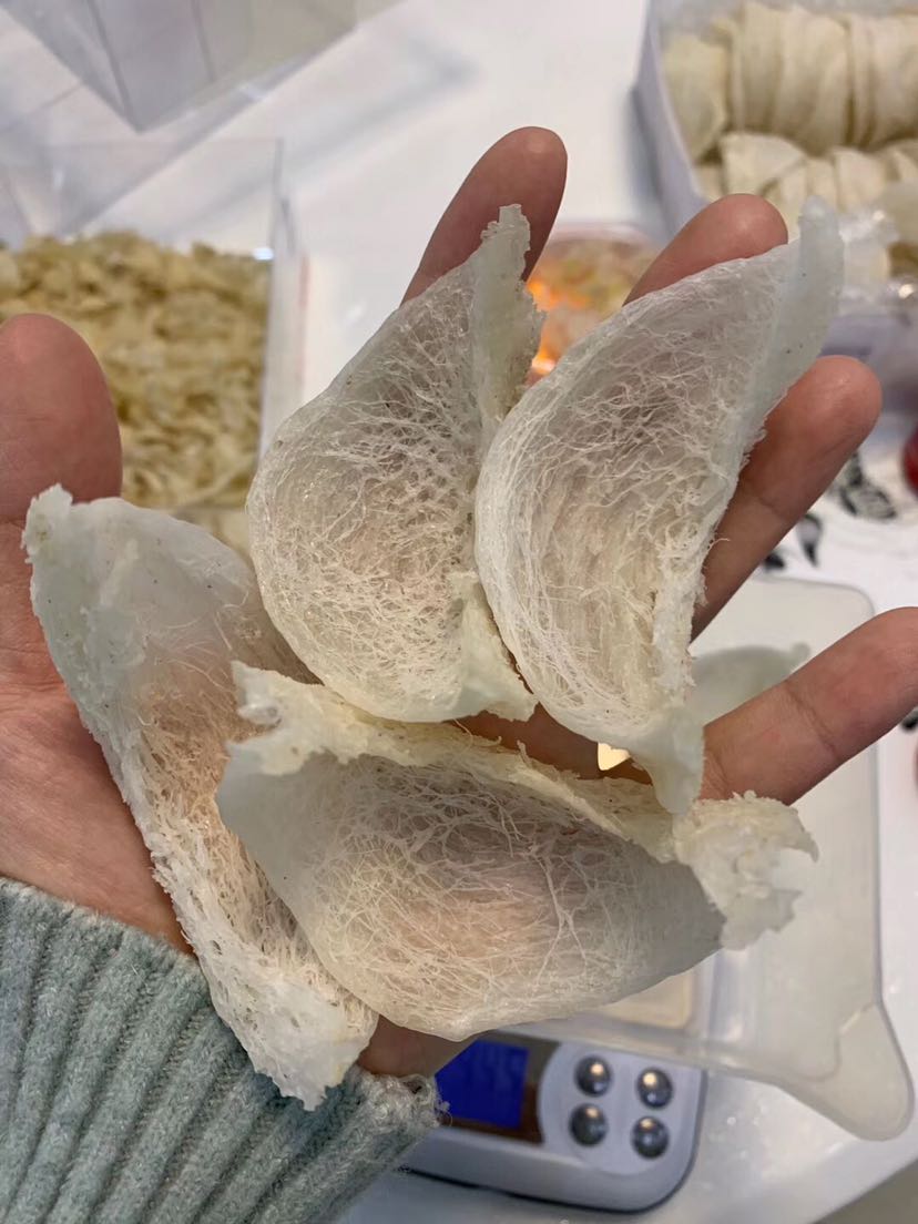 燕窝，招代理，工厂一手货源，全国发货