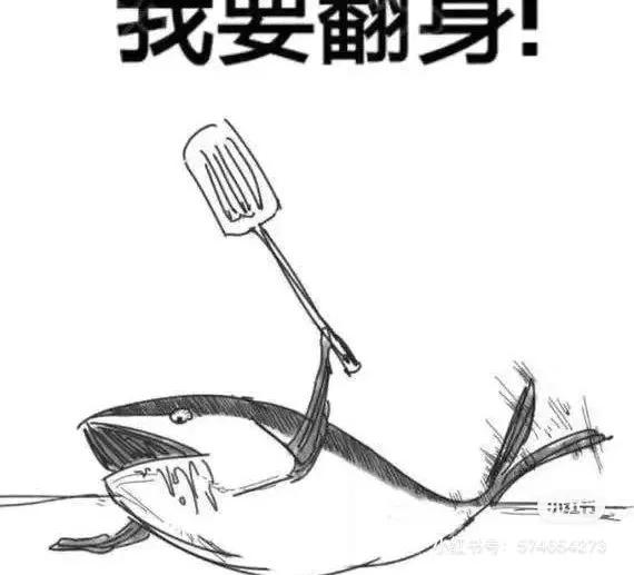 闲鱼靠谱的找货源
