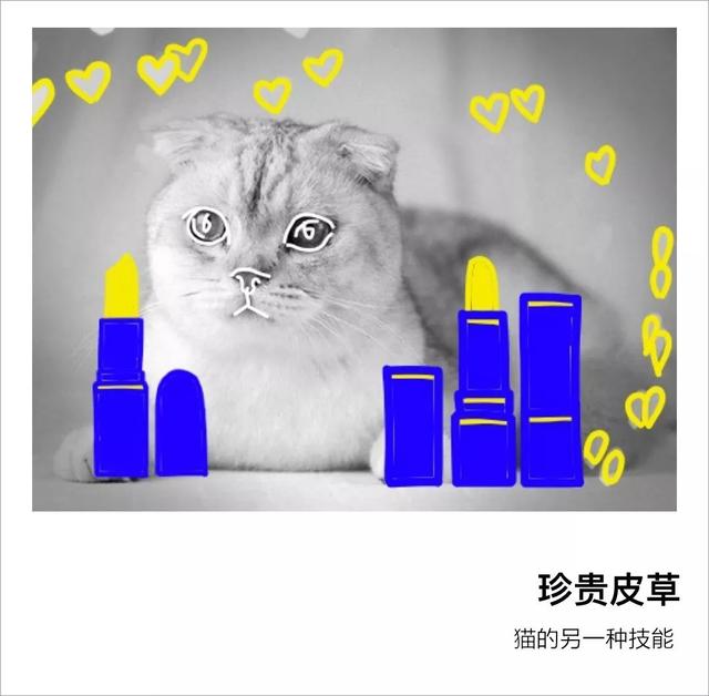 代购怎么找货源 知乎