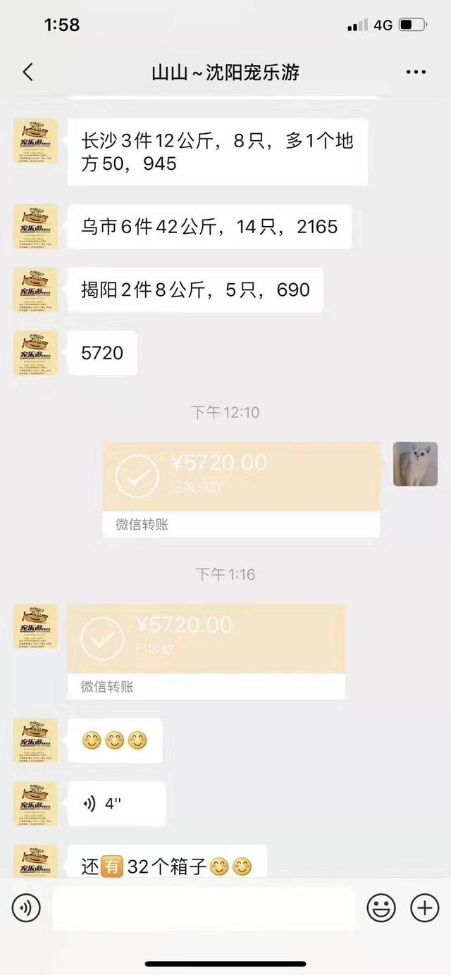 宠物货源怎么找