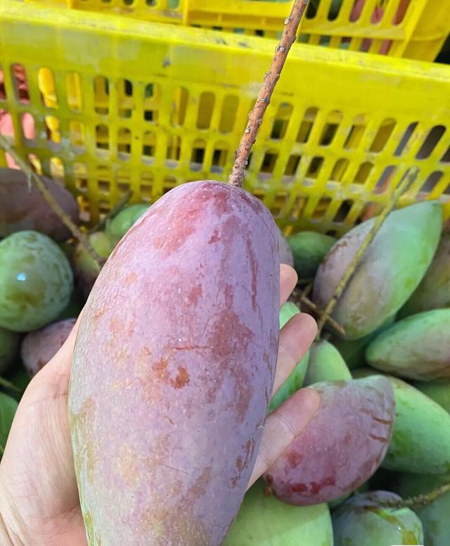 做水果微商要不要自己找货源