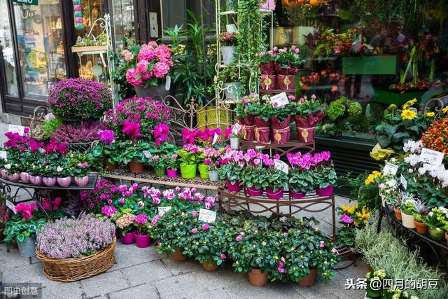 开鲜花店找货源