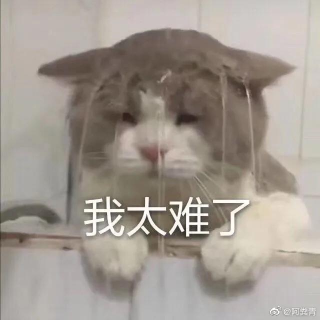 怎么找货源卖货