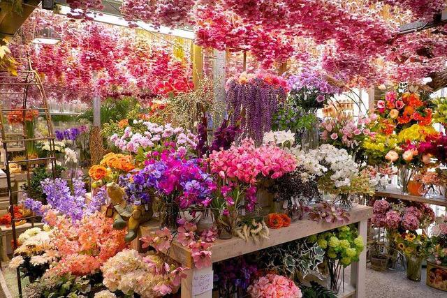 想开花店怎么找货源呢
