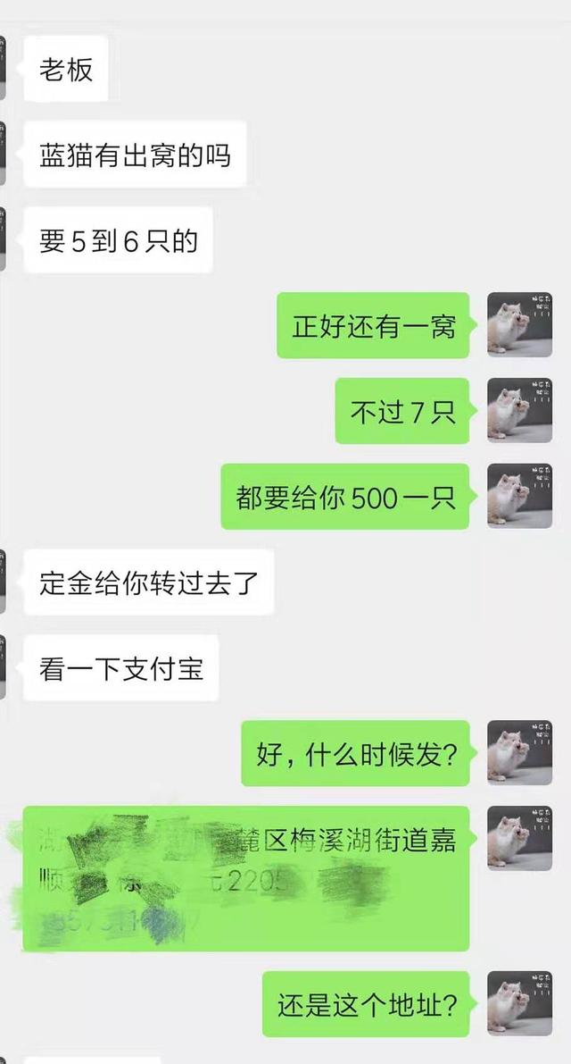 宠物货源怎么找