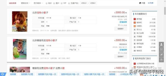 女装货源号去哪里找