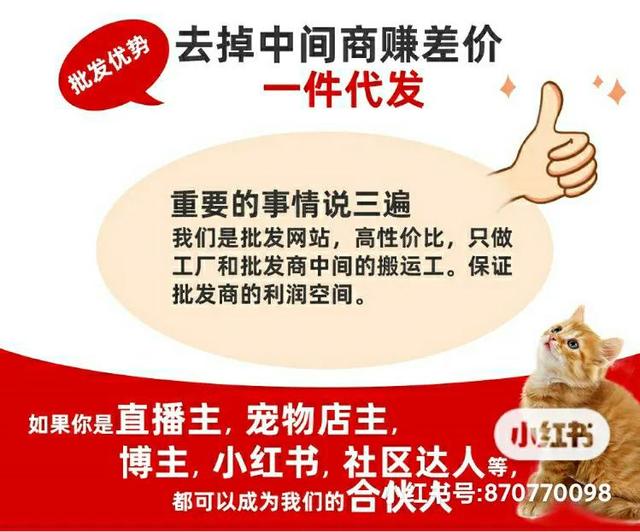 宠物用品一手货源