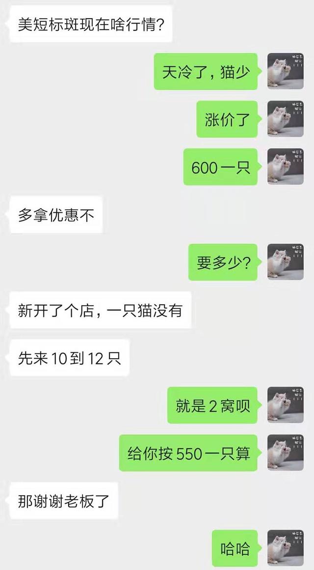 宠物货源怎么找