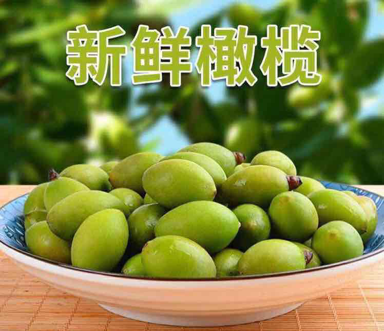 ‍特级橄榄 新鲜采摘 ‍金灶特产 应有尽有