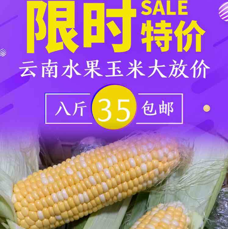 水果玉米8斤35包邮
