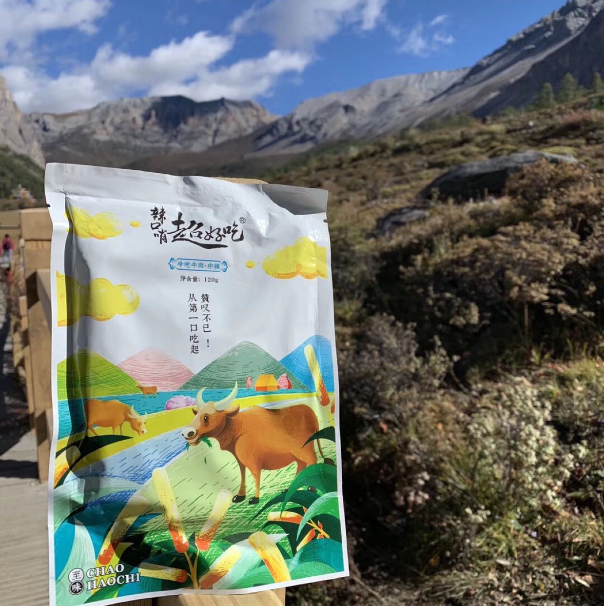 四川自贡超好吃美食，可开袋即食，也可加热