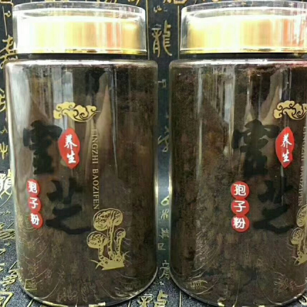 长白山灵芝孢子粉 批发零售中 另招代理
