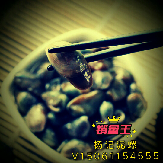 杨记泥螺招代理