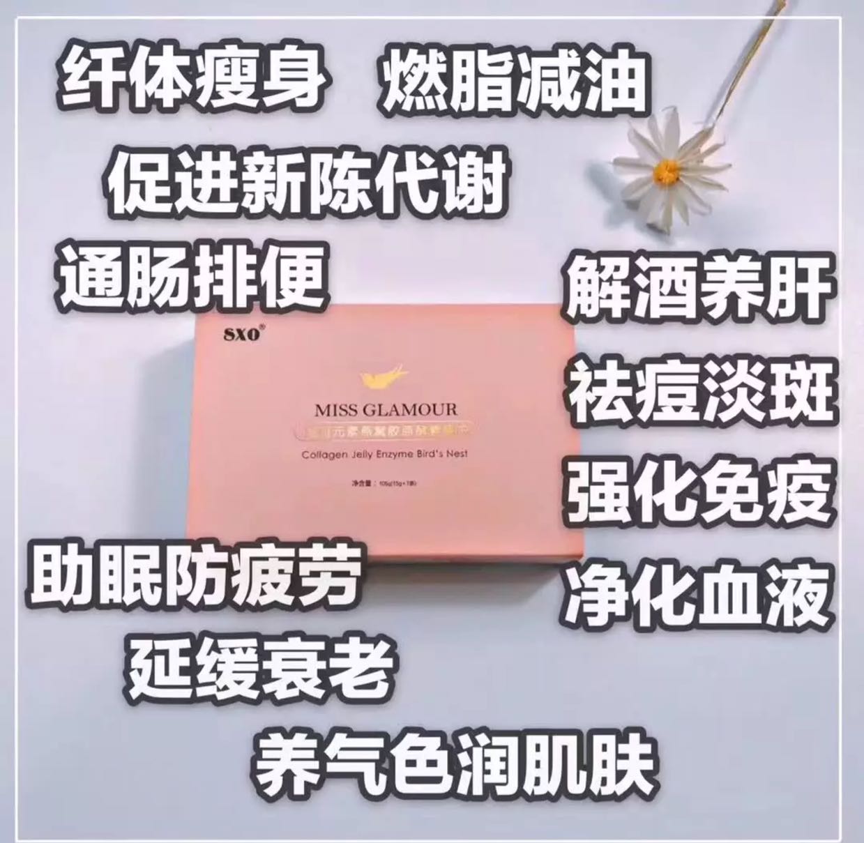 SXO美丽元素胶原燕窝酵素果冻