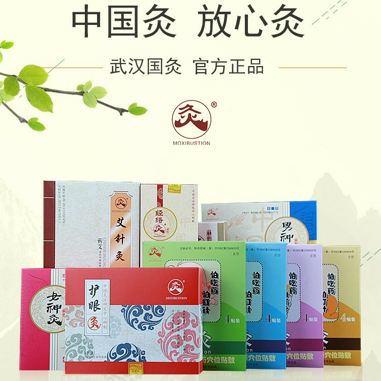 大健康保健武汉国灸益生菌