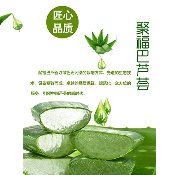 聚福巴芦荟招代理