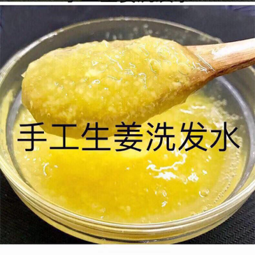 生姜洗护育发 专门改善头皮毛囊问题
