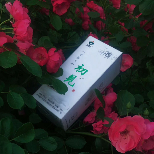 人生若只如初见
