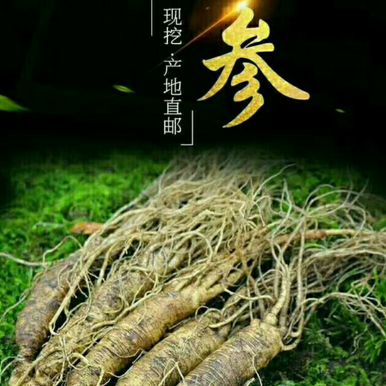 长白山鲜人参招代理  一件代发  无需囤货  利润高