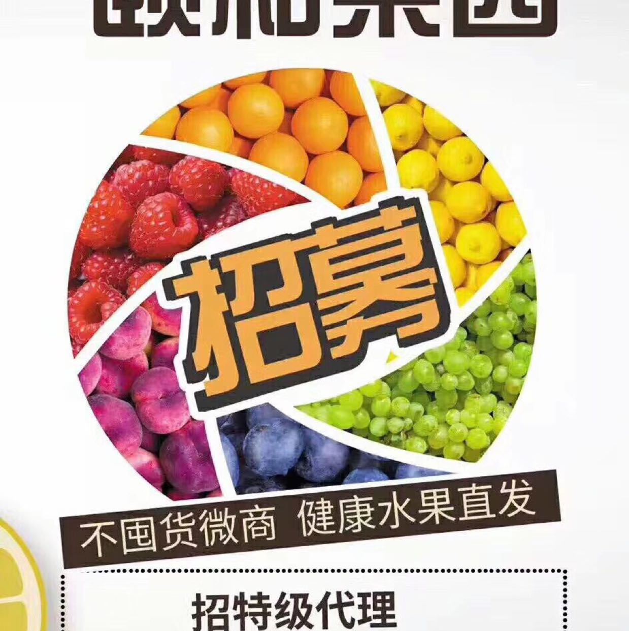 新鲜水果搬运工