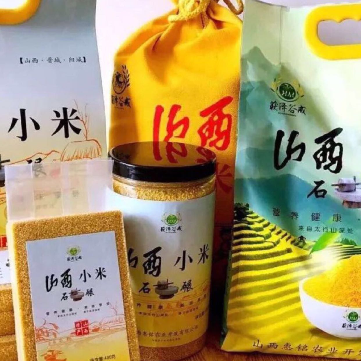 获泽谷成 山西小米 上百次弯腰只为一粒好米