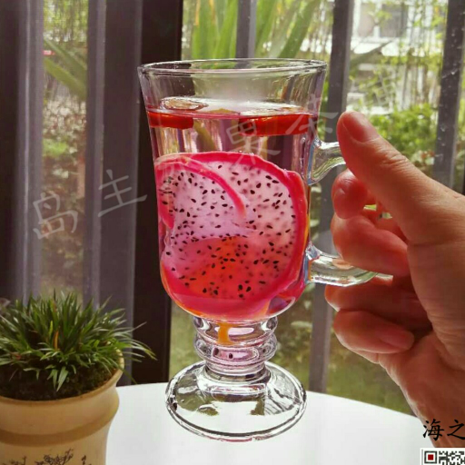 高颜值的水果茶招代理