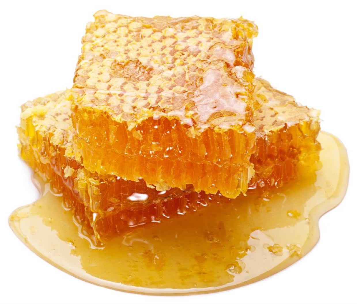 长白山脉天然农家巢蜜蜂蜜 自己蜂场一手货源 诚招代理