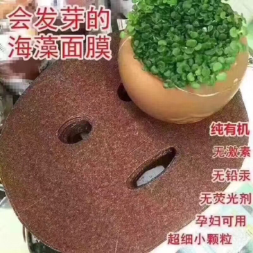 泰国海藻面膜颗粒 只靠口碑做起来的面膜