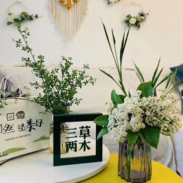 三草两木 不辜负美好的人 ，不辜负每一个美