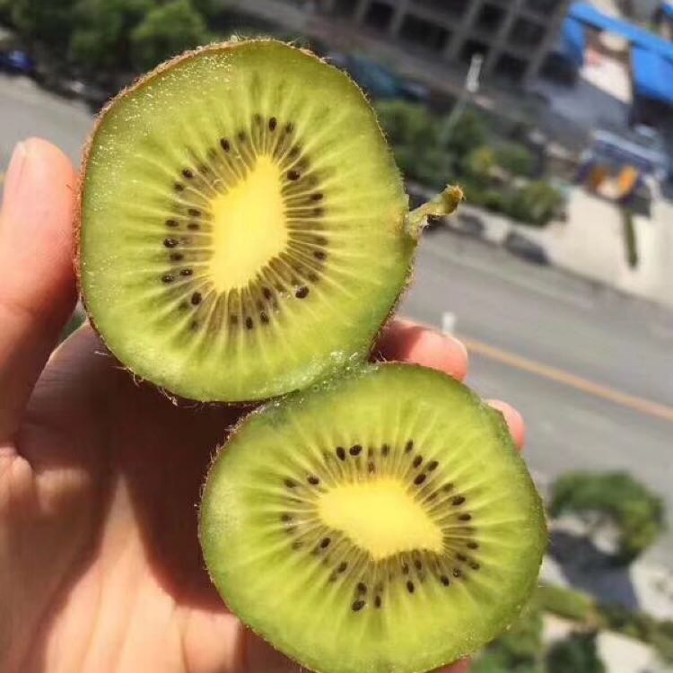 一件代发水果