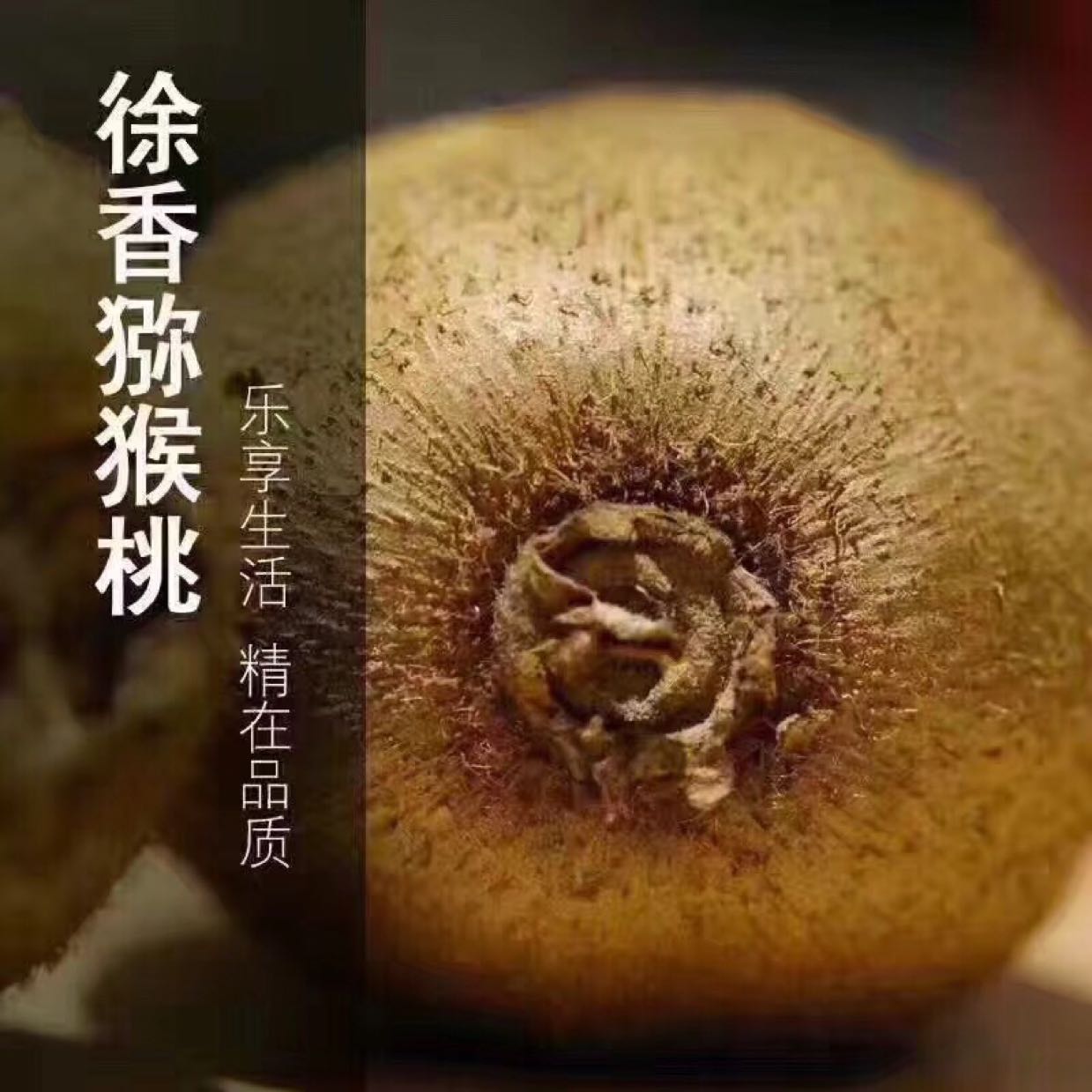 正宗徐香猕猴桃