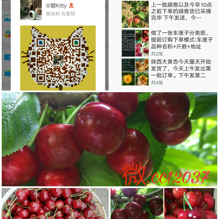 新鲜水果产地直发