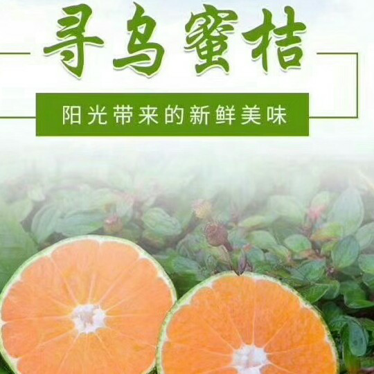 正宗寻乌蜜橘皮薄肉多，农家自种不打蜡不吹熟，果园直供现采现发