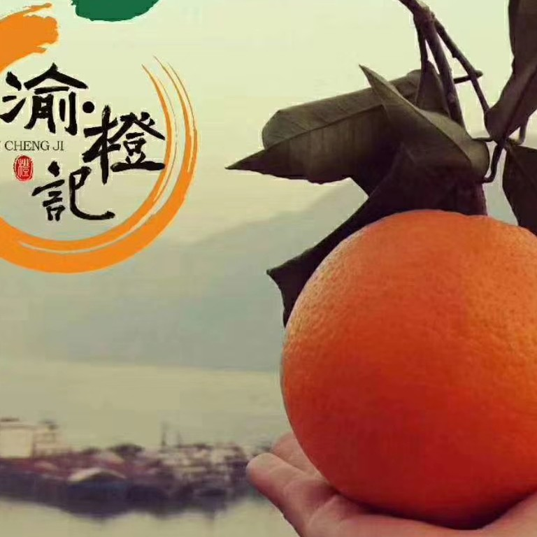 重庆奉节脐橙，自家特产，汁水丰富，鲜甜可口，非常适合老人小孩