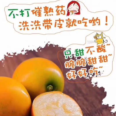 融安滑皮金桔 一次合作 终生朋友