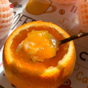 原生态水果 名优特产零食 果园直发，一件包邮