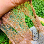 天然海藻面膜